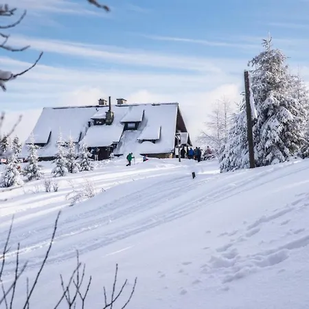 Rabka City Apartament *