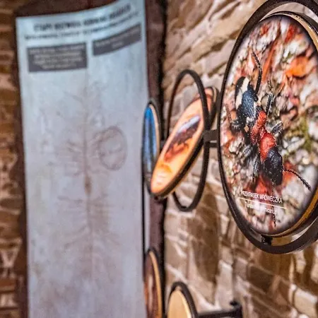 Apartament Rabka City