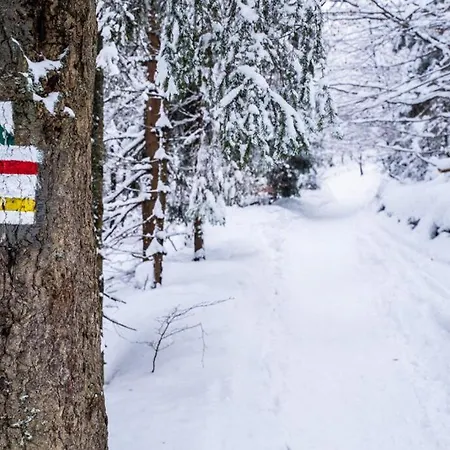 Rabka City Apartament Rabka