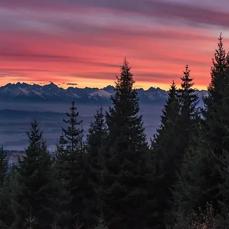 Apartament Rabka City Rabka