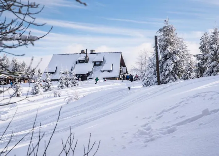 Rabka City Appartement *