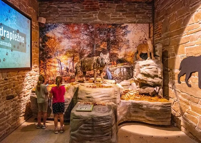 Rabka City Appartement Rabka