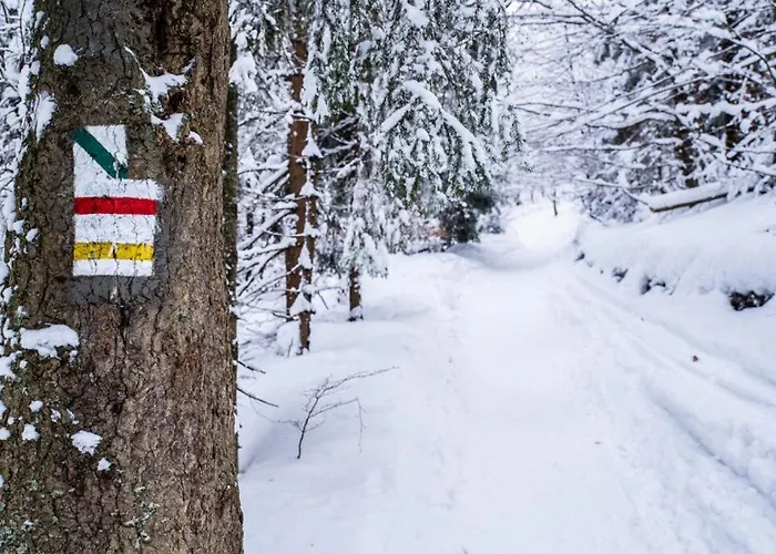 Rabka City Appartement Rabka