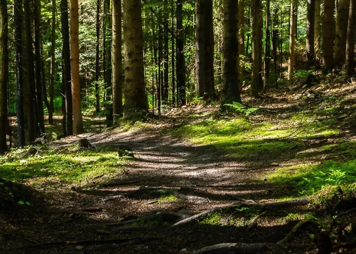 Appartement Rabka City Rabka